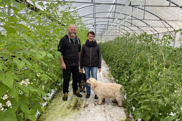 Pascal et Vivianne cultivent fruits et légumes dans des serres à Saint-Etienne-du-Rouvray près de Rouen.