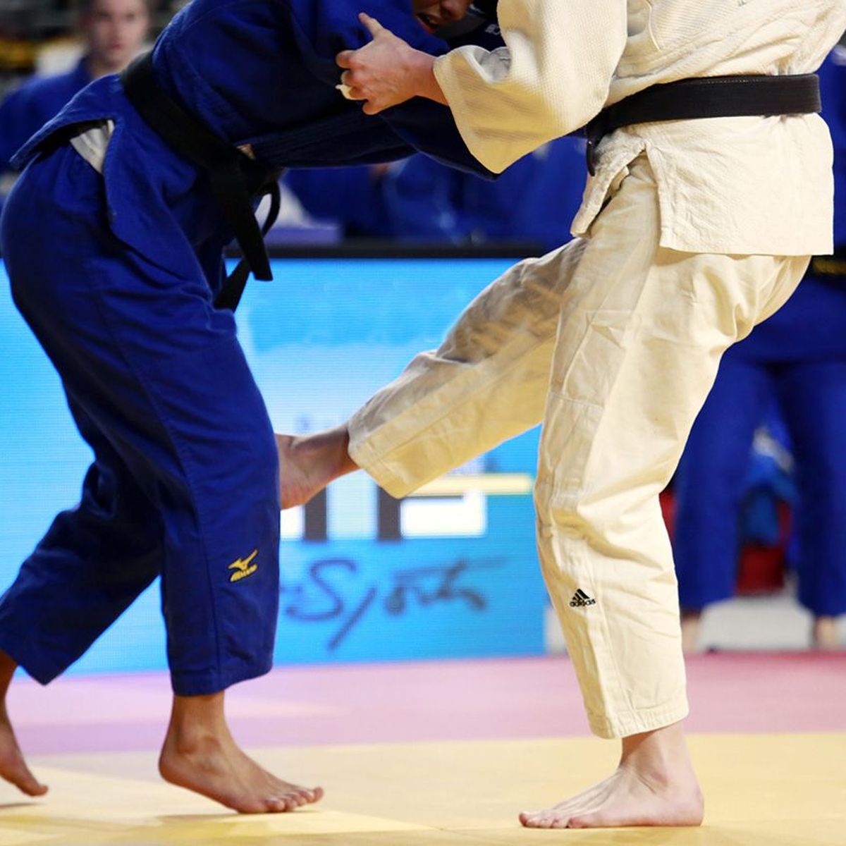 Une Enquete Pour Agressions Sexuelles Ouverte A Lille Contre Un Ancien President De La Ligue Nord Pas De Calais De Judo