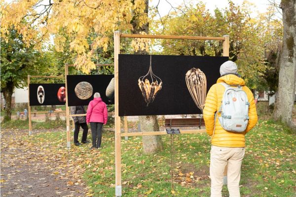 Le festival de Montier en Der n'aura pas lieu en 2020. 