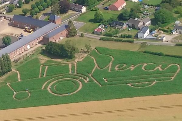 A Hétomesnil dans l'Oise, le musée de la vie agricole a conçu son labyrinthe végétal en forme de tracteur pour remercier les agriculteurs, mobilisés pendant la crise sanitaire.