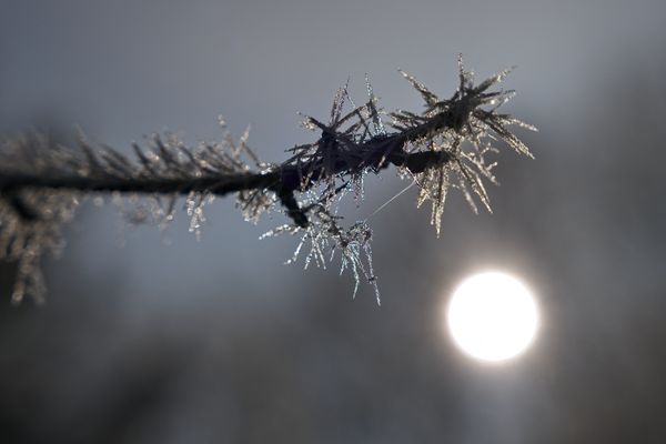 Le plan grand froid a été activé en Loire-Atlantique en ce début décembre 2022.