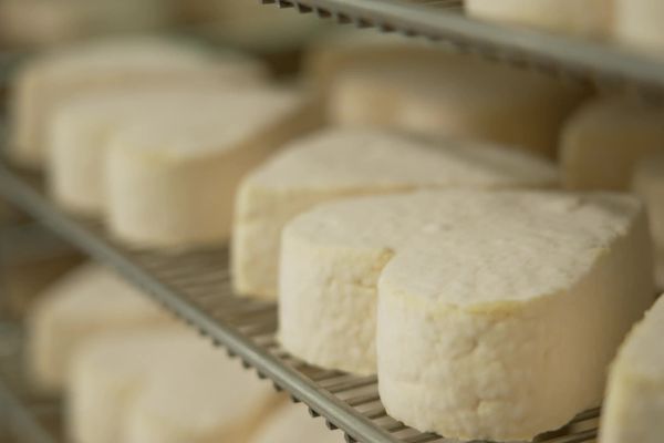 Quelques centaines de fromage Neufchâtel AOP, commercialisés chez Carrefour, Lidl, Super U et Aldi ont été rappelés entre le 9 et le 10 avril 2024 après la détection de la bactérie Listeria sur un des produits.