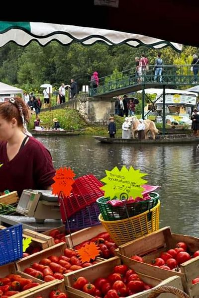 Marché sur l'eau à Vanneau-Irleau, Deux-Sèvres