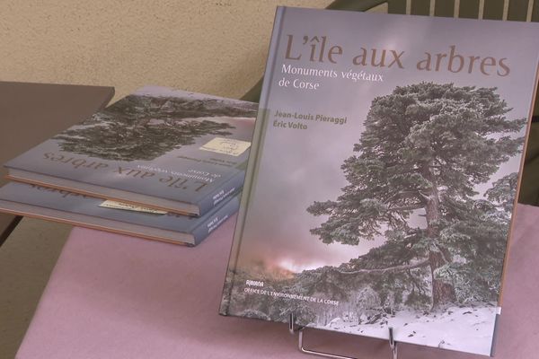 Un livre sorti début décembre raconte l’histoire de 30 arbres.