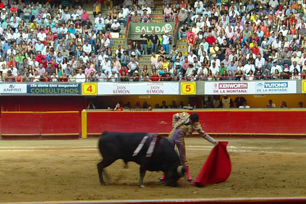 Sébastien Castella, ici à la feria de Medellin en février 2014, reviendra en Amsud avec son nouvel apoderado, Manuel Martinez Erice