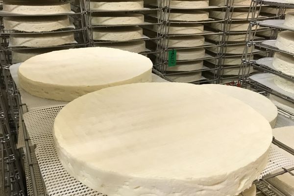 Le Brie de Meaux dans la fromagerie de Biencourt-sur-Orge pèse environ 3,2 kg.