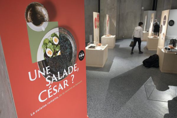 Suite à la fermeture du Musée Lugdunum en raison du contexte sanitaire, l'équipe innove et adapte ses outils afin de garantir sa mission de service public et de permettre aux visiteurs de garder un lien avec la culture. La nouvelle exposition du musée "Une salade, César ? La cuisine romaine de la taverne au banquet", est désormais accessible en ligne grâce à la visite virtuelle 