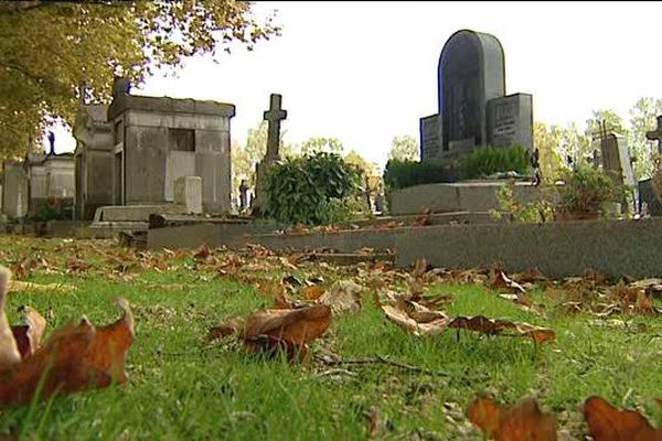 Non traitée, de l'herbe pousse dans les allées du cimetière des Péjoces à Dijon