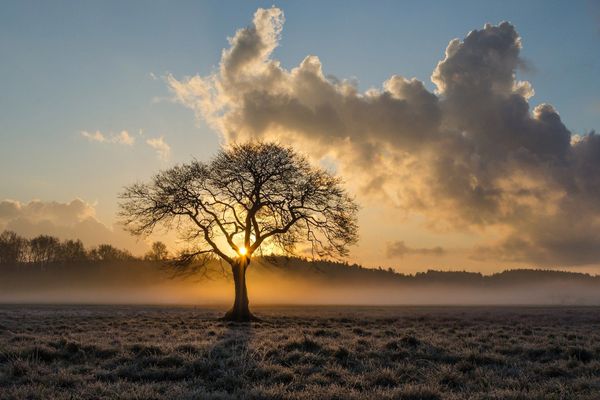 Temps calme hivernal ce jeudi