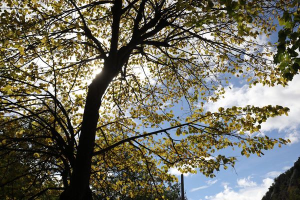 Un parc naturel va sanctuariser une partie des anciennes carrières de l'Ouest à Gagny.