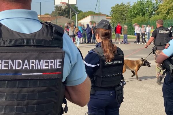 Les gendarmes ont organisé un contrôle anti-stupéfiants dans un collège de la Vienne.