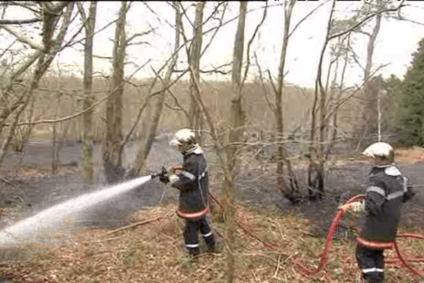 L'incendie qui a ravagé près de 3 hectares de forêt dans l'Orne a été maîtrisé vers 16 heures ce dimanche