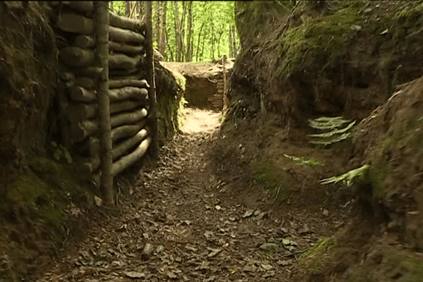 Sur la petite commune de Plouedern, dans le Finistère, ces tranchées sont des vestiges de la Première Guerre mondiale.