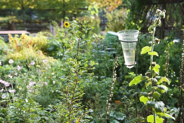 Le pluviomètre, l'allié utile du jardinier