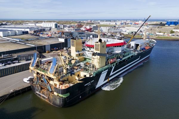 Navires dans le port de hareng d'ijmuiden. Le chalutier Annelies Ilena (m) est amarré à quai.