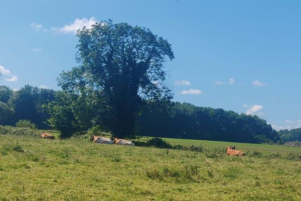 Dans la campagne de Pérenchies