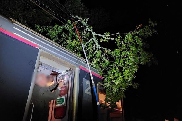 Chêne tombé sur le Paris-Toulouse suite aux rafales de la tempête Domingos dans la nuit du 4 au 5 novembre à hauteur d'Allassac en Corrèze