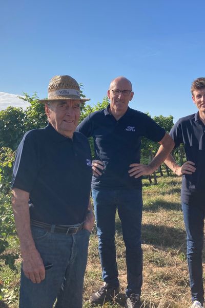 Eugène, François et Xavier Meyer dans l'une de leurs parcelles à Bergholtz (Haut-Rhin)