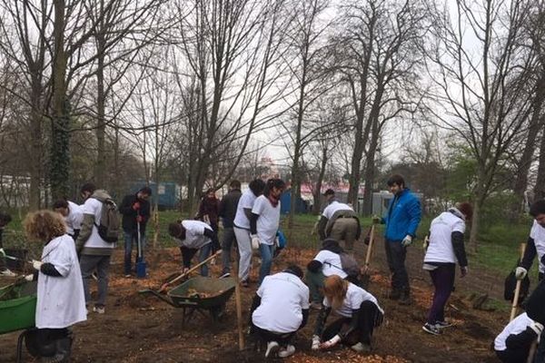 200 volontaires parisiens ont participé à la plantation de 2 000 jeunes pousses ce samedi, à l'orée le bois de Vincennes. Objectif : créer une forêt très dense, contre la pollution et pour une biodiversité renforcée.