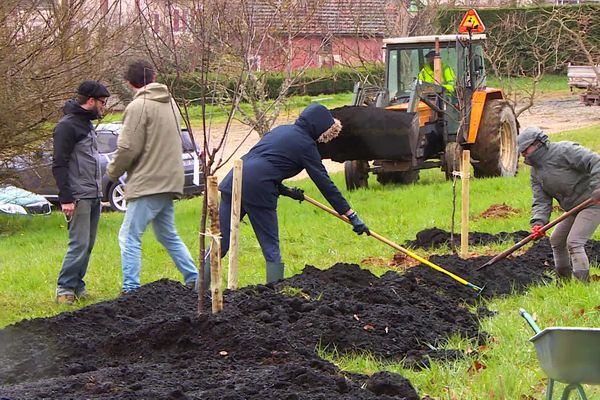 La première forêt comestible de Dordogne implantée à La Douze