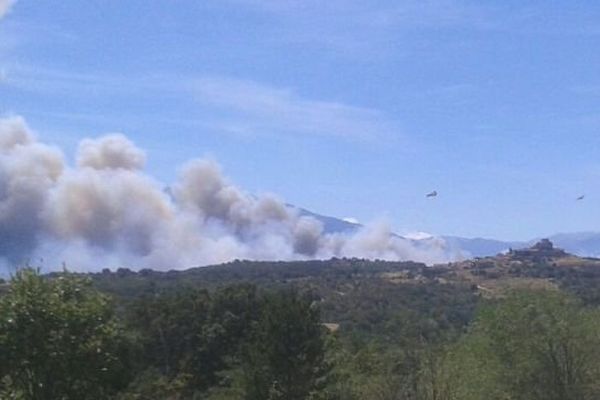 L'incendie de Montalba-le-Château, dans les Pyrénées-Orientales, avait déjà dévasté entre 250 et 300 hectares en milieu d'après-midi - 11 août 2016