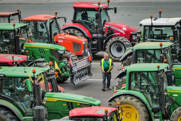 La mobilisation des syndicats agricoles commencera dès le 18 novembre, dans plusieurs régions françaises.