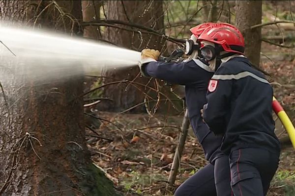 Le feu a détruit entre un et deux hectares de sous-bois.