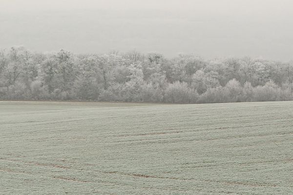 Le froid s'installe sur la Bourgogne.