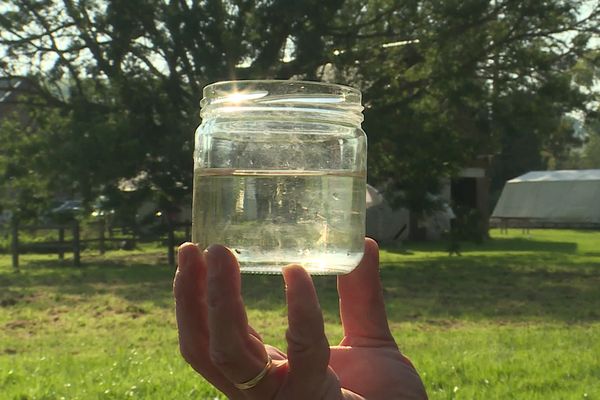 La phytoépuration, une solution pour traiter ses eaux usées.