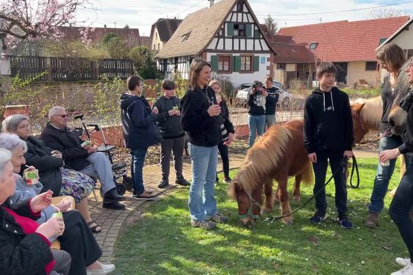 Une rencontre intergénérationnelle, pour câliner des animaux