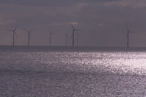 Eoliennes en mer (image d'illustration)