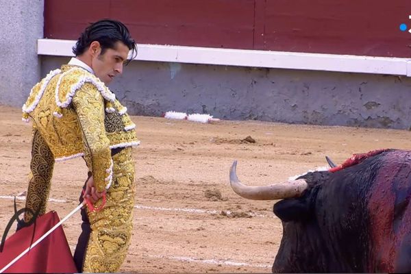 Le visage comme une lame, l'arrogance étudiée. Alejandro Talavante est une figure essentielle des arènes. Sa faena de Madrid en mai dernier est dans SDT 115.