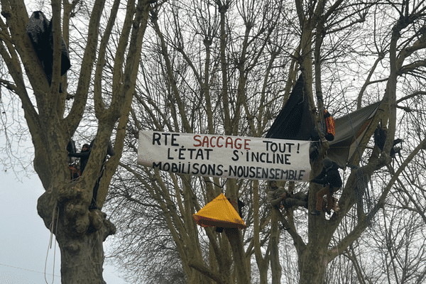 Six grimpeurs se sont accrochés aux arbres de Capbreton, dans les Landes, pour protester contre le projet de ligne à très haute tension.