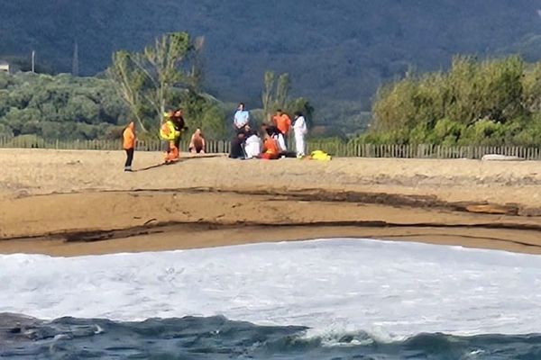 Intervenus rapidement sur la plage de Baraci, les secours n'ont pu réanimer la victime âgée d'une quarantaine d'années.