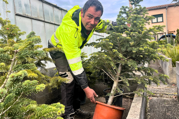 Olivier Bedel propose à ses clients de garder leur sapin de Noël tout le reste de l'année pour éviter de les jeter