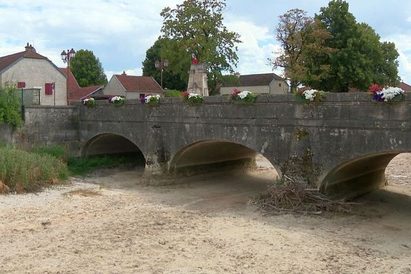 A cause de la sécheresse, en Côte-d'Or, à Lux, la rivière Tille est à sec pour la troisième année de suite et la faune est en grande souffrance.