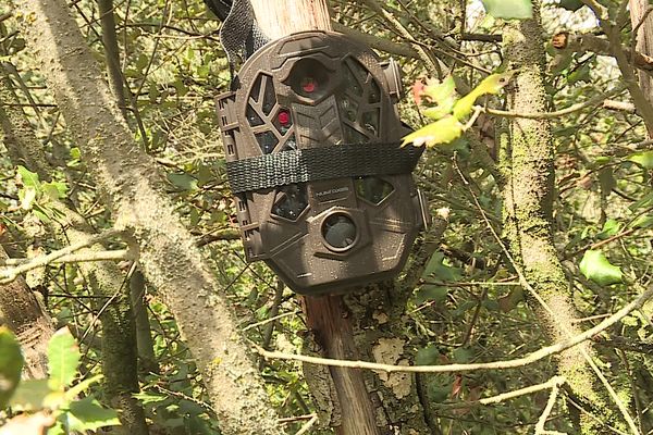 Les dépôts sauvages se multiplient dans le Gard. De très nombreuses communes sont touchées par ce fléau. À Tresques, la mairie a décidé d'installer des caméras pour dissuader et empêcher ces dépôts illégaux de déchets.