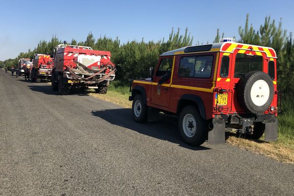 55 pompiers ont été mobilisés pour éteindre l'incendie dans la sapinède