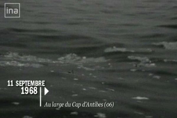 Les débris de la Caravelle d'Air France au large du Cap d'Antibes.