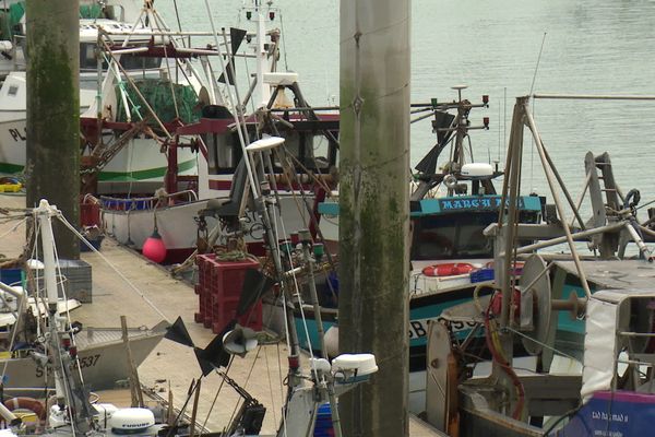 Les bateaux de pêche à quai - Port de Saint-Cast-le-Guildo (22)