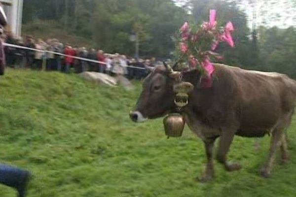 La 4ème fête de la transhumance à Muhlbach-sur-Munster 