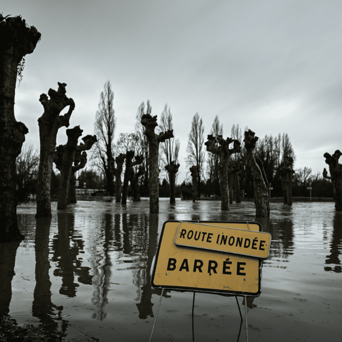 Inondations Dans Le Sud Gironde Une Crue Historique Le Langonnais Toujours Sous Haute Surveillance