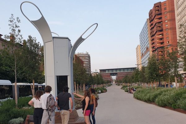 Installation de l'arbre à algue, allées Jean Jaurès à Toulouse