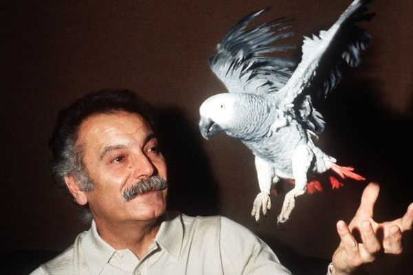 Georges Brassens en janvier 1972. GABRIEL DUVAL / AFP