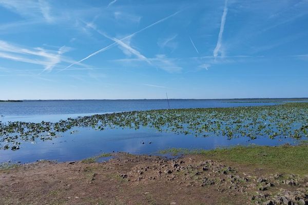 Le lac de Grandlieu au sud de Nantes, photo prise le 24 septembre 2023