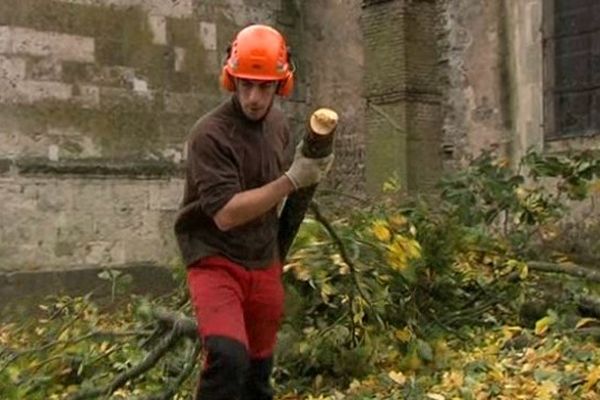 Lundi, ce sont 31 arbres qui ont été abattus sur la place Moyaux, petit village du Pays d'Auge