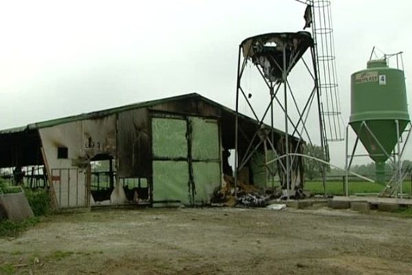 Le bâtiment qui abritait 7 000 pintadeaux a été presque entièrement détruit.