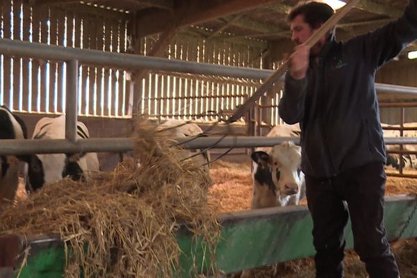 Stéphane Donckele, éleveur laitier à Catenay en Seine-Maritime, se dit prêt à une nouvelle mobilisation