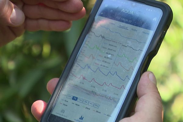 Une application qui permet de recevoir des informations pour une bonne irrigations des parcelles.