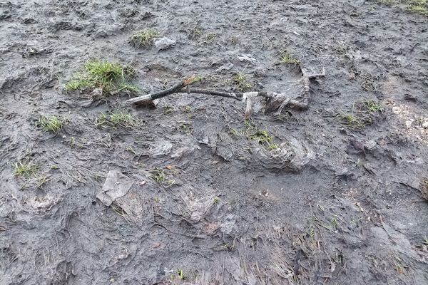 En période de grandes précipitations, les excréments se mélangent à la terre, avant de ruisseler directement dans le ruisseau. On peut y voir des serviettes hygiéniques.